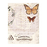 Prima Marketing Inc Autumn Sunset 3x4 Inch Journaling Cards (995515) Prima Marketing Inc Autumn Sunset 3x4 Inch Journaling Cards (995515)