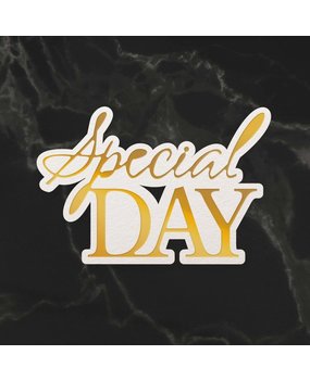 Couture Creations Special Day Sentiment Mini Cut, Foil & Emboss Die (CO726721) Couture Creations Special Day Sentiment Mini Cut, Foil & Emboss Die (CO726721)