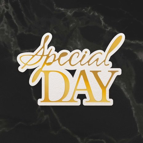 Couture Creations Special Day Sentiment Mini Cut, Foil & Emboss Die (CO726721) Couture Creations Special Day Sentiment Mini Cut, Foil & Emboss Die (CO726721)