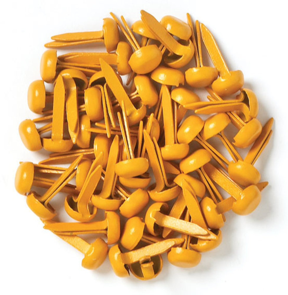 Doodlebug Design Inc. Tangerine Mini Brads (25pcs) (74)