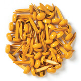Doodlebug Design Inc. Tangerine Mini Brads (25pcs) (74)
