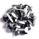 Doodlebug Design Inc. Tuxedo Sugar Coated Brads (50pcs) (1463)