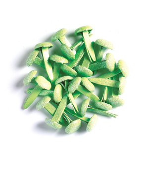 Doodlebug Design Inc. Limeade Sugar Coated Brads (25pcs) (1469)