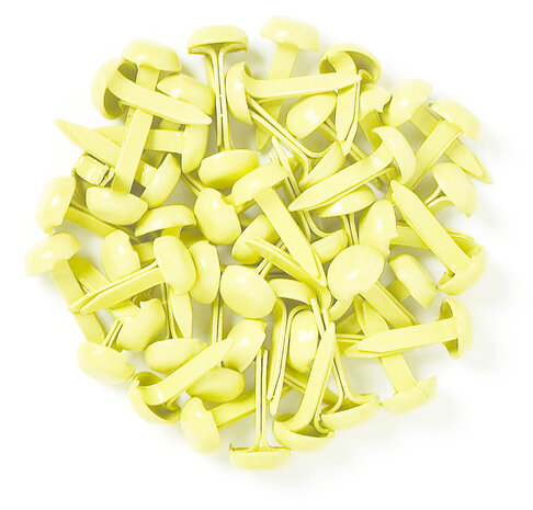 Doodlebug Design Inc. Buttercream Mini Brads (25pcs) (75) Doodlebug Design Inc. Buttercream Mini Brads (25pcs) (75)