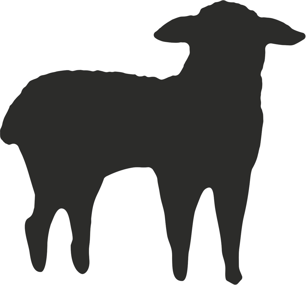 Heyda Motiefpons Klein Lammetje (203687610)