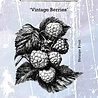 IndigoBlu Vintage Berries A6 Rubber Stamp (IND0578) IndigoBlu Vintage Berries A6 Rubber Stamp (IND0578)