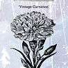 IndigoBlu Vintage Carnation A6 Rubber Stamps (IND0587) IndigoBlu Vintage Carnation A6 Rubber Stamps (IND0587)