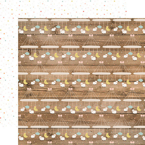 Echo Park Baby Girl 12x12 Inch Collection Kit (BAG202016)