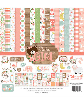 Echo Park Baby Girl 12x12 Inch Collection Kit (BAG202016) Echo Park Baby Girl 12x12 Inch Collection Kit (BAG202016)