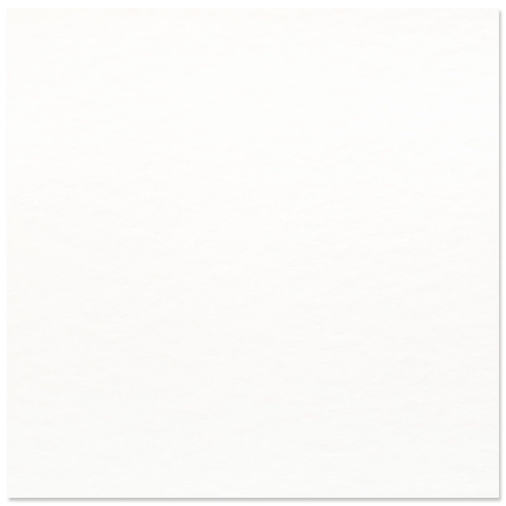 Vaessen Creative Florance Texture Intense Aquarelpapier 12x12 Inch 50pcs (2911-5004) Vaessen Creative Florance Texture Intense Aquarelpapier 12x12 Inch 50pcs (2911-5004)