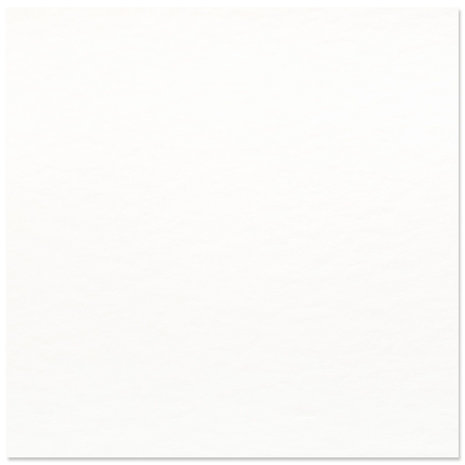 Vaessen Creative Florance Texture Intense Aquarelpapier 12x12 Inch 50pcs (2911-5004) Vaessen Creative Florance Texture Intense Aquarelpapier 12x12 Inch 50pcs (2911-5004)