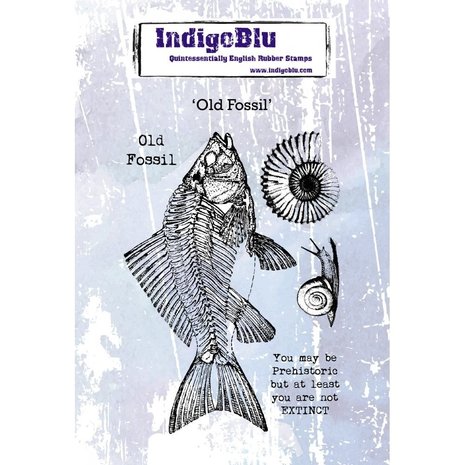 IndigoBlu Old Fossil A6 Rubber Stamp (IND0595) IndigoBlu Old Fossil A6 Rubber Stamp (IND0595)