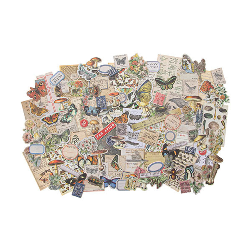 Idea-ology Tim Holtz Field Notes Ephemera Pack (TH94051)