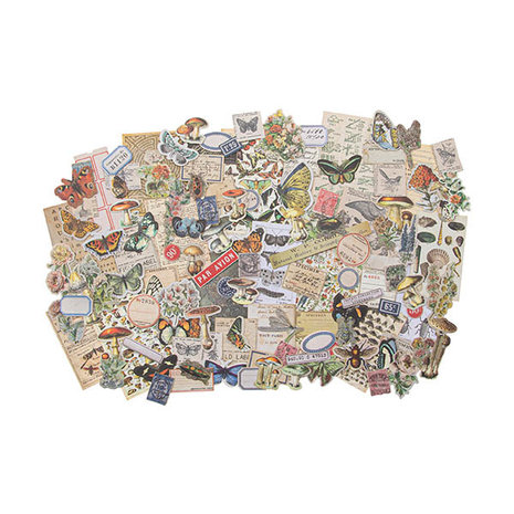 Idea-ology Tim Holtz Field Notes Ephemera Pack (TH94051)