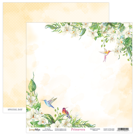 ScrapBoys Primavera 6x6 Inch Paper Pad (PRIM-09)