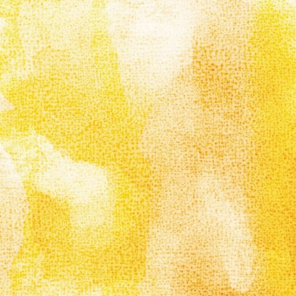 Crafter's Companion Lily 12x12 Inch Paper Pad (NG-LILY-PAD12) Crafter's Companion Lily 12x12 Inch Paper Pad (NG-LILY-PAD12)