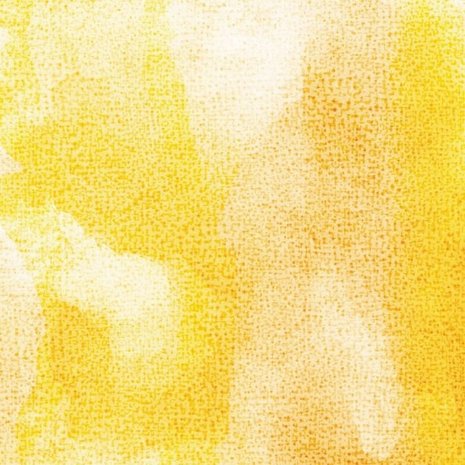 Crafter's Companion Lily 12x12 Inch Paper Pad (NG-LILY-PAD12) Crafter's Companion Lily 12x12 Inch Paper Pad (NG-LILY-PAD12)