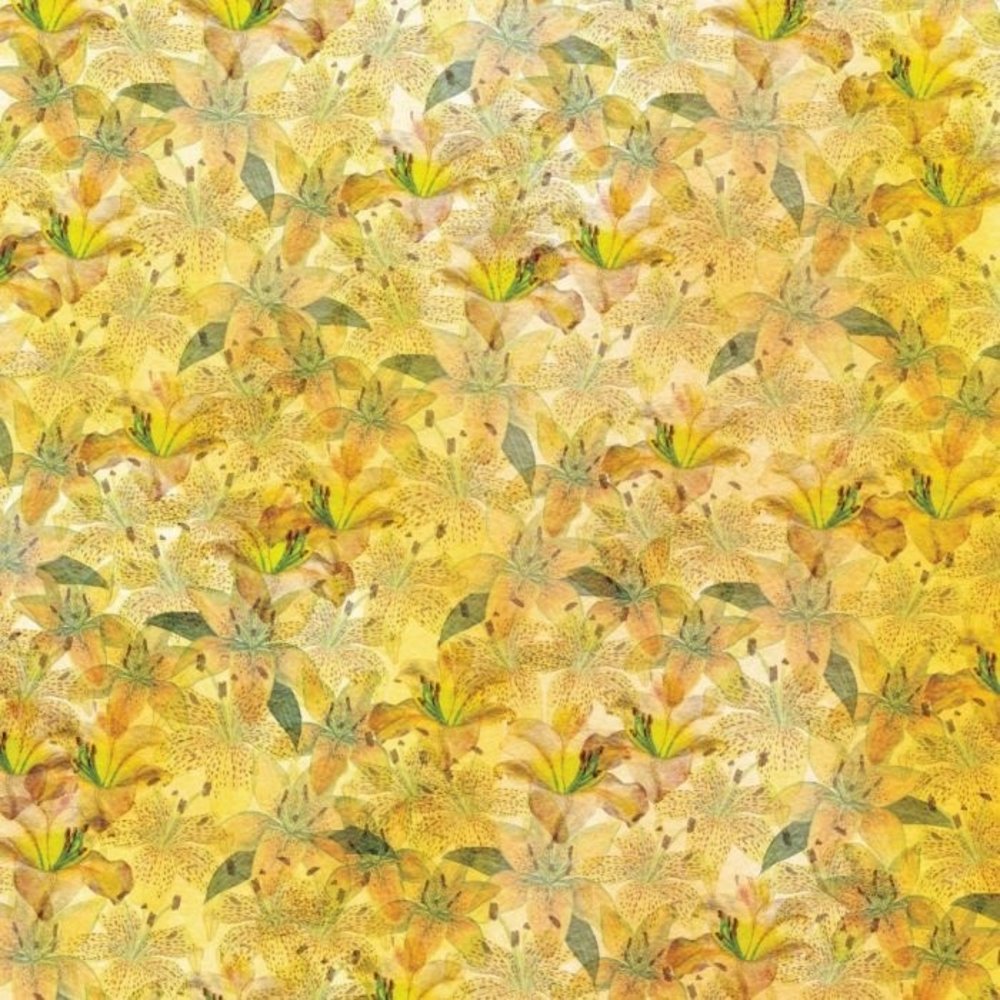 Crafter's Companion Lily 12x12 Inch Paper Pad (NG-LILY-PAD12) Crafter's Companion Lily 12x12 Inch Paper Pad (NG-LILY-PAD12)