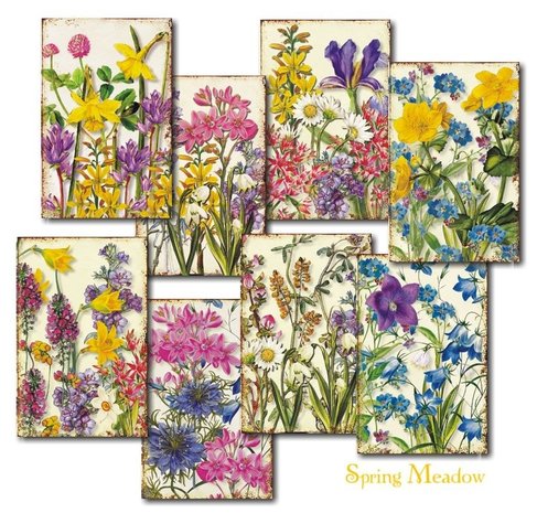 Decorer Spring Meadow Paper Pack  (7x10,8cm) (DECOR-M77) Decorer Spring Meadow Paper Pack  (7x10,8cm) (DECOR-M77)