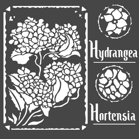 Stamperia Media Stencil Hortensia Frames (KSTDQ44)