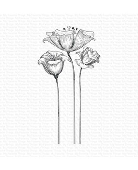 My Favorite Things Fine-Lined Floral Rubber Stamp (BG-119) My Favorite Things Fine-Lined Floral Rubber Stamp (BG-119)