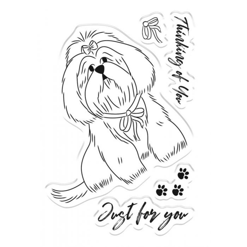 Crafter's Companion Paws for Thought Clear Stamps (CC-STP-PFT)