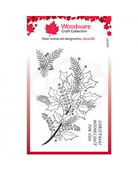 Woodware Singles Sketchy Sprigs Clear Stamp Set (FRS737) Woodware Singles Sketchy Sprigs Clear Stamp Set (FRS737)