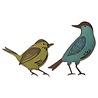 Sizzix Thinlits Alterations Colorize Feathered Friends (664433) Sizzix Thinlits Alterations Colorize Feathered Friends (664433)