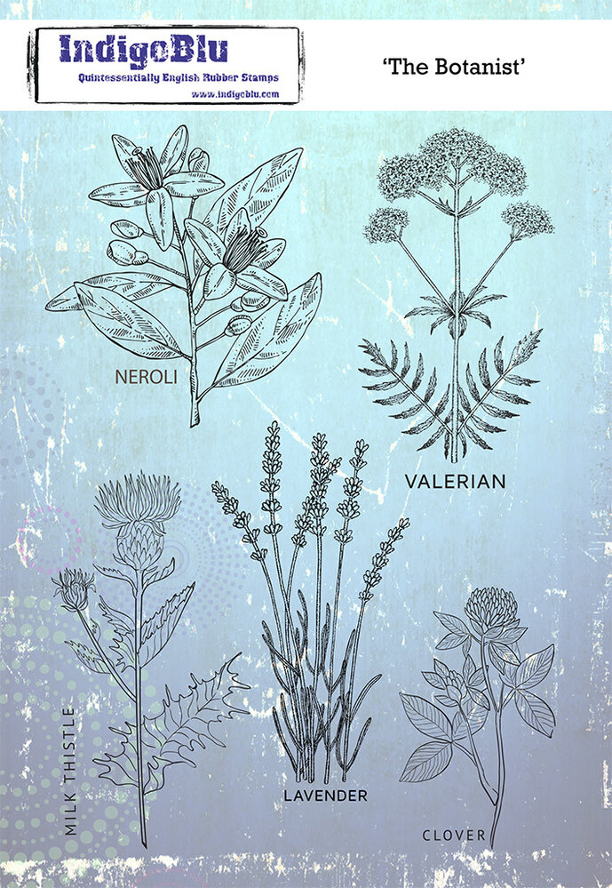 IndigoBlu The Botanist A5 Rubber Stamp (IND0622) IndigoBlu The Botanist A5 Rubber Stamp (IND0622)