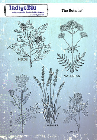 IndigoBlu The Botanist A5 Rubber Stamp (IND0622) IndigoBlu The Botanist A5 Rubber Stamp (IND0622)