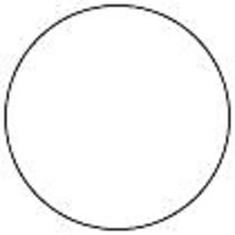 Dina Wakley MEdia Media Gloss Spray White 56ml (MDO68570) Dina Wakley MEdia Media Gloss Spray White 56ml (MDO68570)