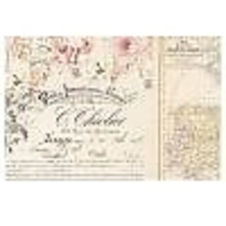 Prima Marketing Inc Capri 4x6 Inch Journaling Cards (996000) Prima Marketing Inc Capri 4x6 Inch Journaling Cards (996000)