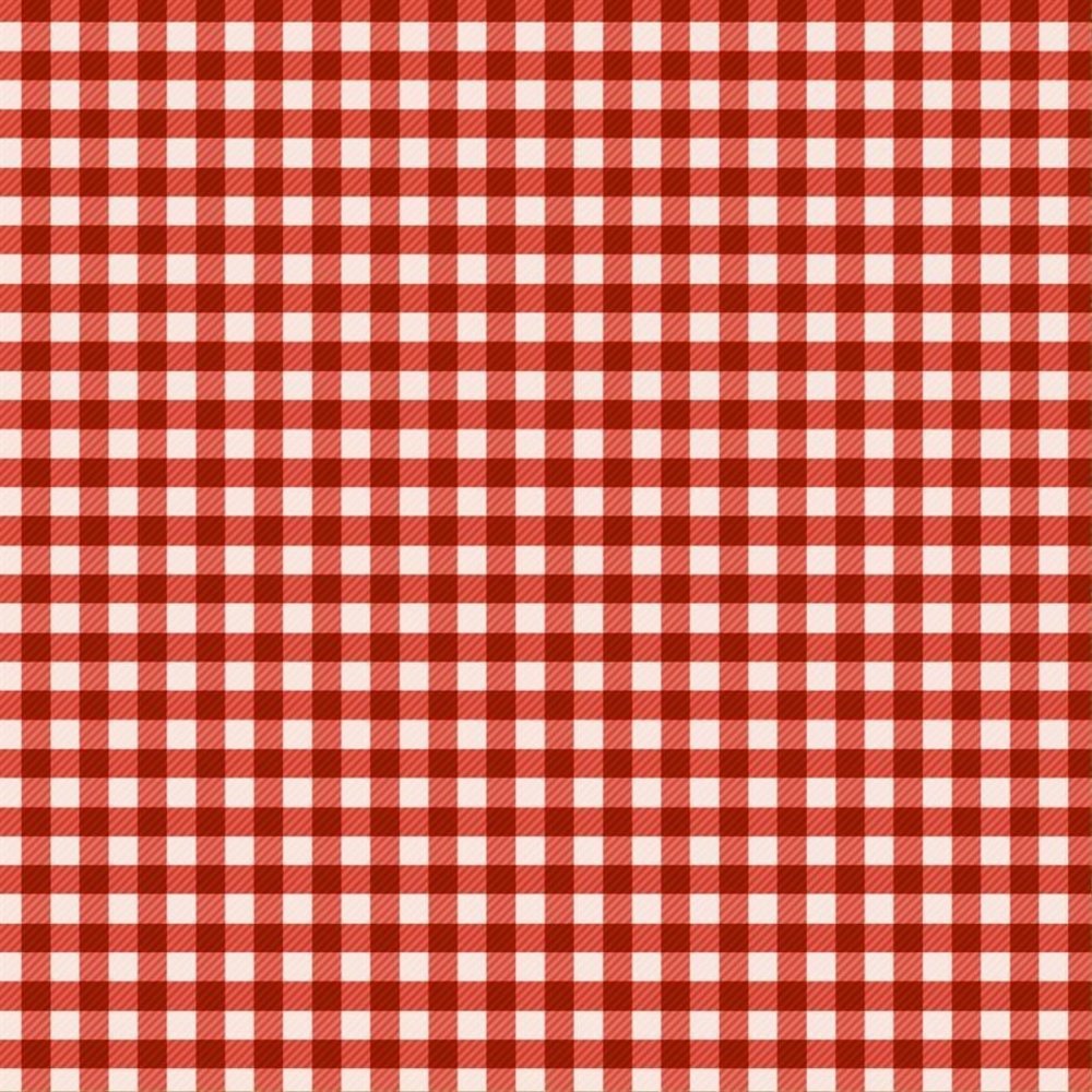 Paper Favourites Christmas Plaid 12x12 Inch Paper Pack (PF341)