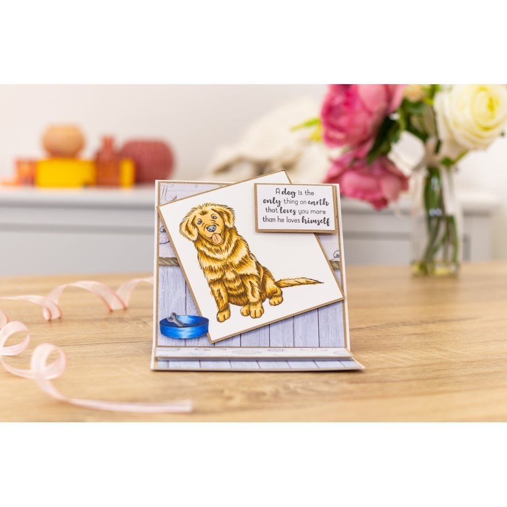 Crafter's Companion Furrever Friends Clear Stamps (CC-STP-FURFR) Crafter's Companion Furrever Friends Clear Stamps (CC-STP-FURFR)