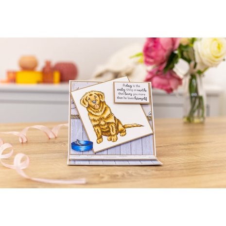 Crafter's Companion Furrever Friends Clear Stamps (CC-STP-FURFR) Crafter's Companion Furrever Friends Clear Stamps (CC-STP-FURFR)