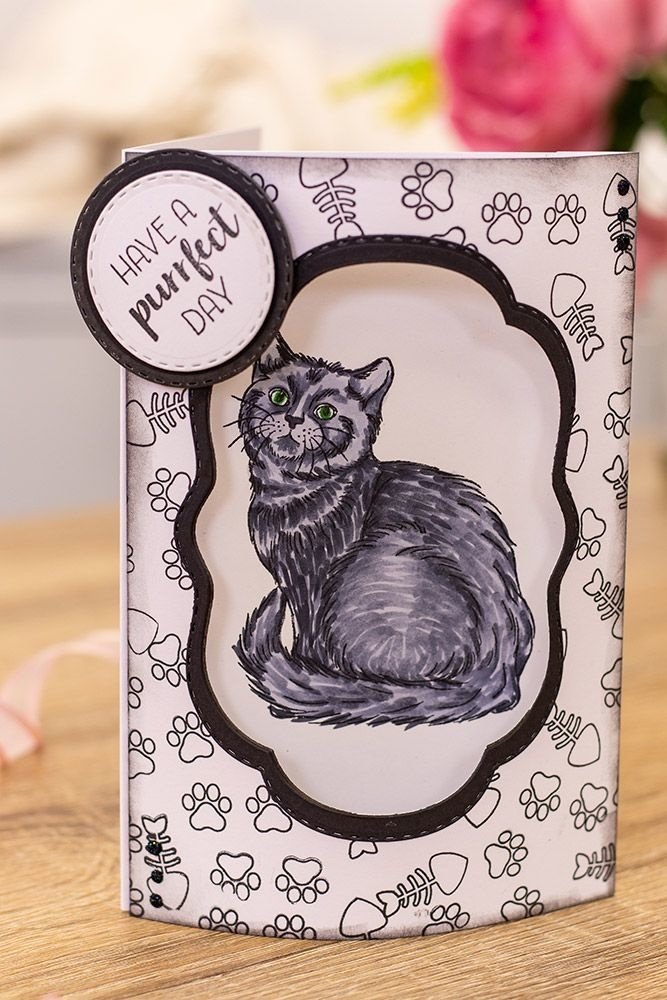 Crafter's Companion A Purrfect Day Clear Stamps (CC-STP-PURRD)