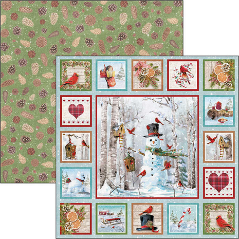 Ciao Bella Papercrafting Northern Lights 12x12 Inch Paper Pad (CBPM038) Ciao Bella Papercrafting Northern Lights 12x12 Inch Paper Pad (CBPM038)