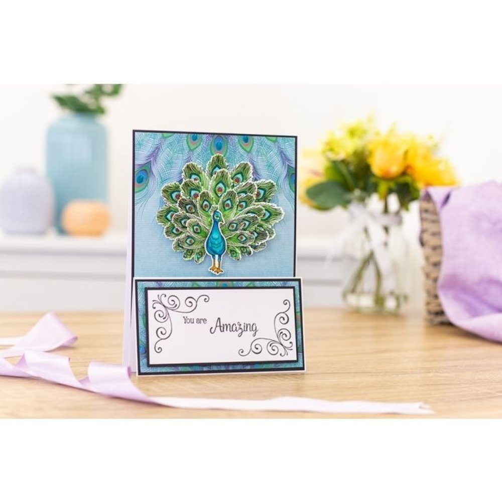 Crafter's Companion Peacock Proud as a Peacock Stamp & Dies (NG-PEA-STD-PAP)