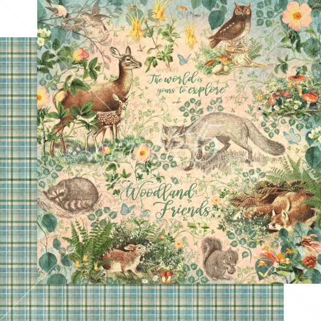 Graphic 45 Woodland Friends 12x12 Inch Collection Pack (4502135) Graphic 45 Woodland Friends 12x12 Inch Collection Pack (4502135)