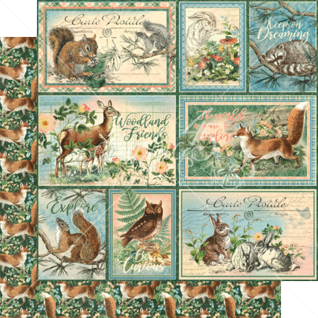 Graphic 45 Woodland Friends 12x12 Inch Collection Pack (4502135) Graphic 45 Woodland Friends 12x12 Inch Collection Pack (4502135)