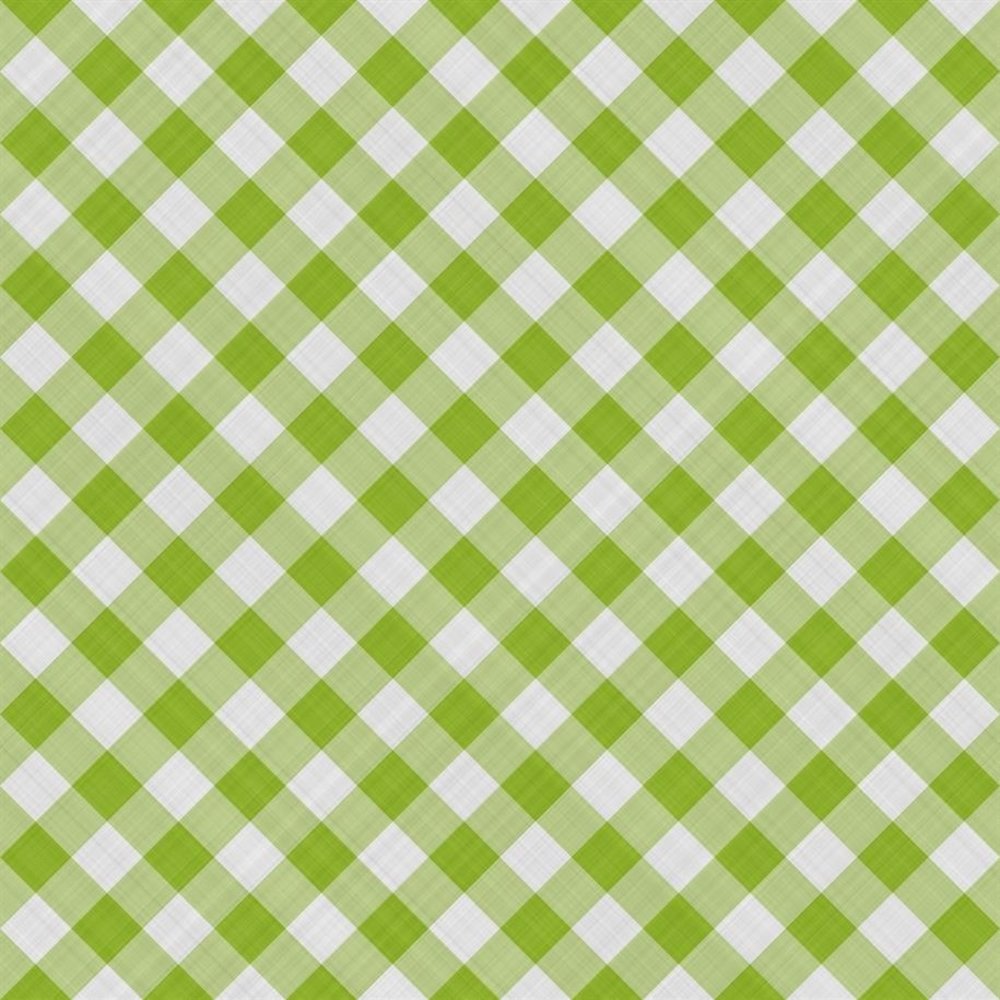 Paper Favourites Gingham Fabric 12x12 Inch Paper Pack (PF354)
