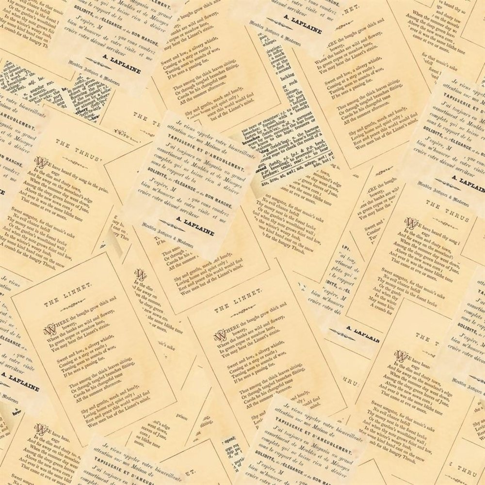 Paper Favourites Ephemera Labels 6x6 Inch Paper Pack (PF155)