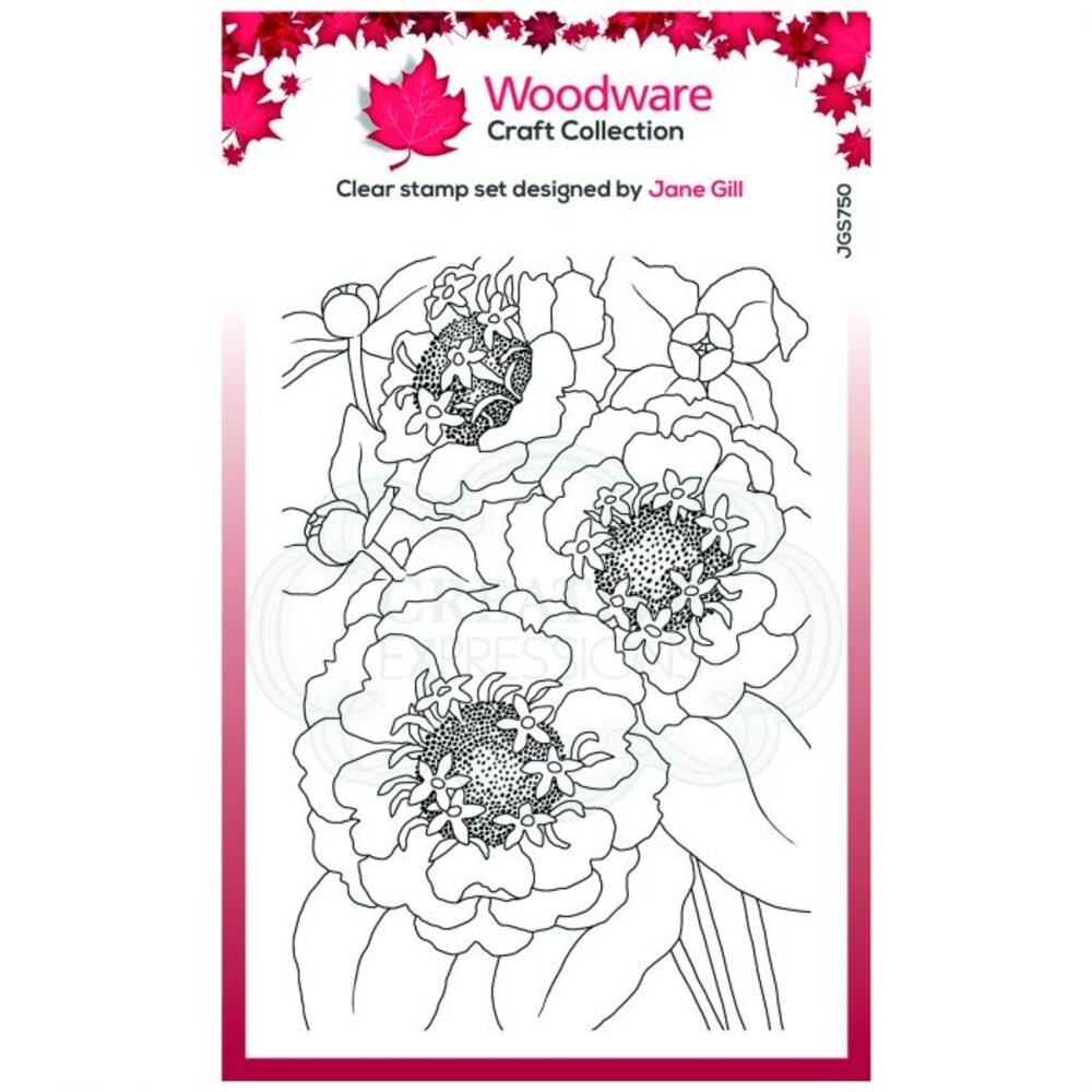 Woodware Singles Zinnia Clear Stamp Set (JGS750) Woodware Singles Zinnia Clear Stamp Set (JGS750)