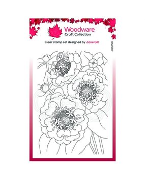Woodware Singles Zinnia Clear Stamp Set (JGS750) Woodware Singles Zinnia Clear Stamp Set (JGS750)