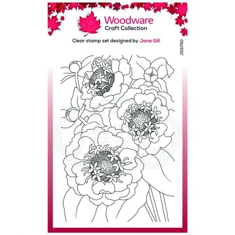 Woodware Singles Zinnia Clear Stamp Set (JGS750) Woodware Singles Zinnia Clear Stamp Set (JGS750)