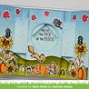 Lawn Fawn Shutter Card Dies (LF2432) Lawn Fawn Shutter Card Dies (LF2432)