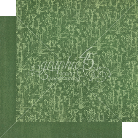 Graphic 45 Blossom 12x12 Inch Patterns & Solids (4502161)