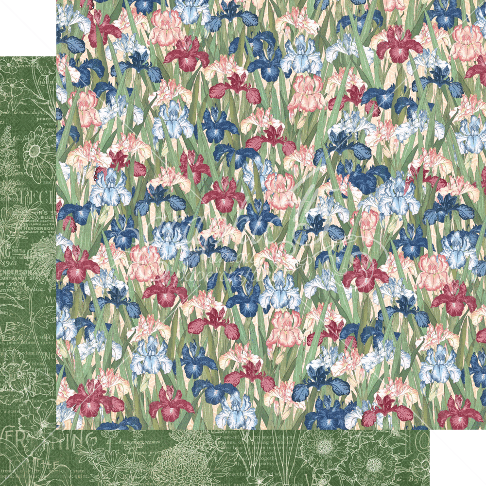 Graphic 45 Blossom 8x8 Inch Paper Pad (4502159) Graphic 45 Blossom 8x8 Inch Paper Pad (4502159)