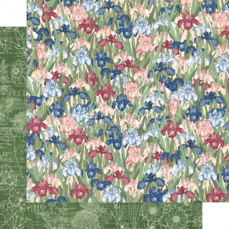 Graphic 45 Blossom 8x8 Inch Paper Pad (4502159)
