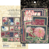 Graphic 45 Blossom Journaling & Ephemera Cards (4502164)